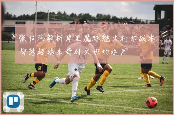 张佳玮解析库里魔球魅力科尔战术智慧超越米奇对文班的运用