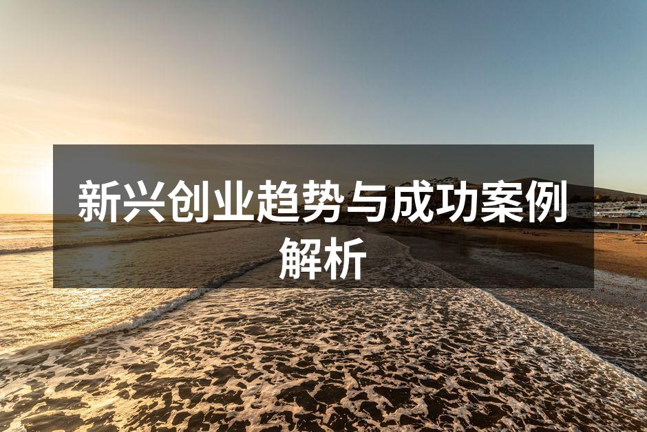 新兴创业趋势与成功案例解析